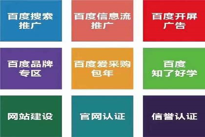 SEM专员如何利用数据分析优化广告投放效果